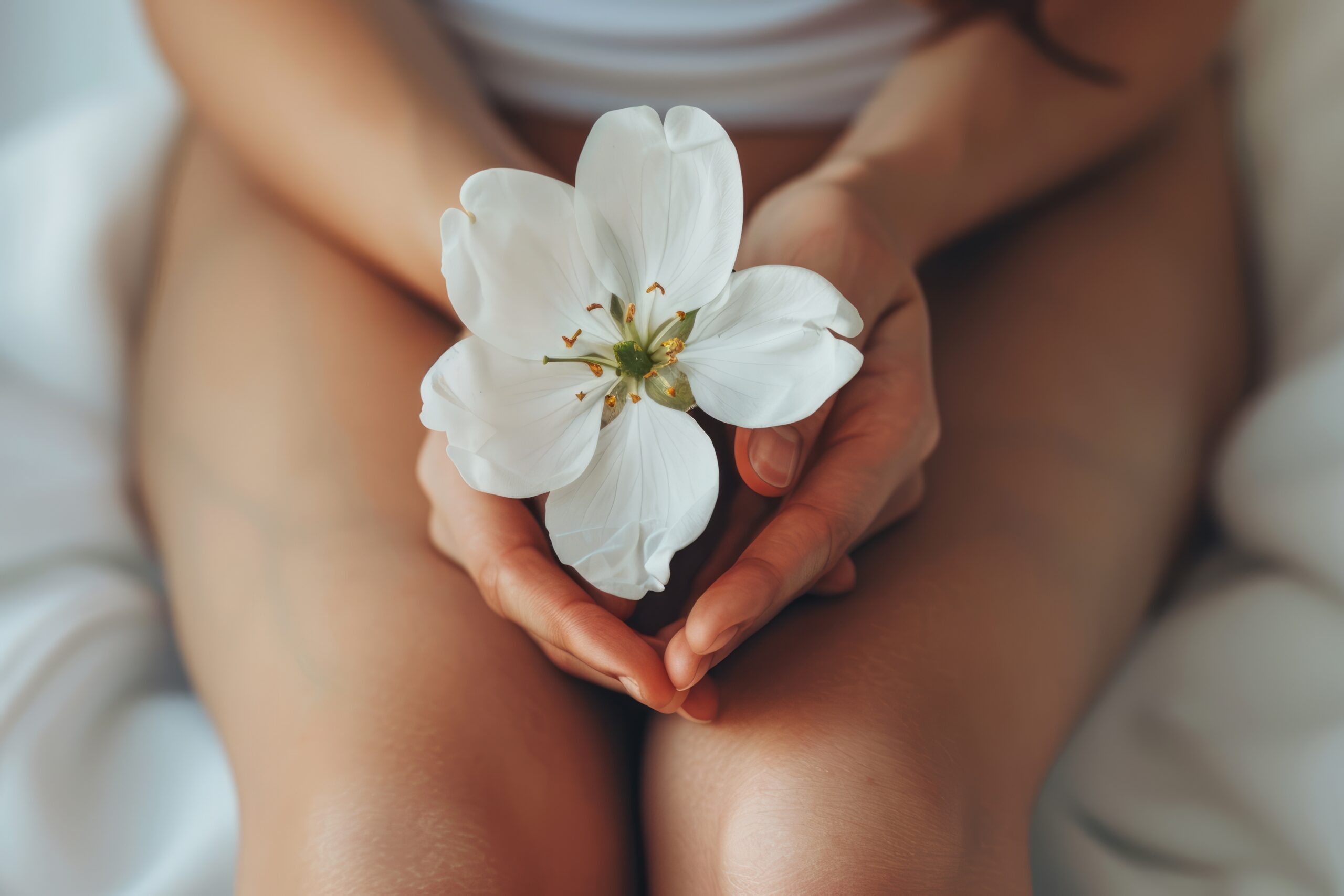 Ginekologia estetyczna