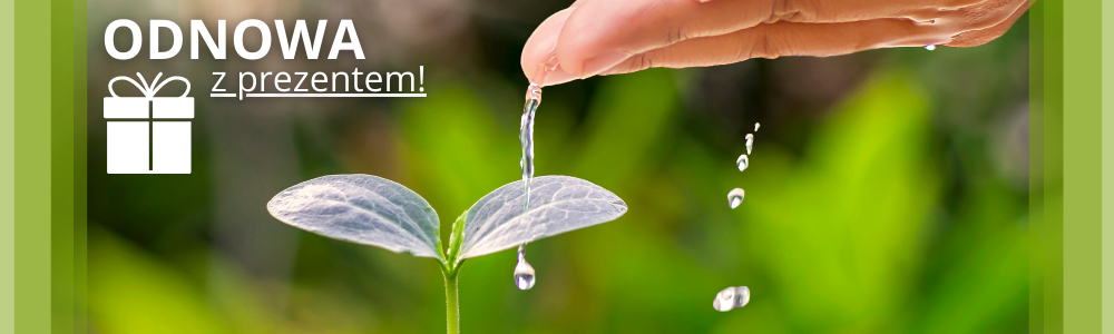 Odnowa z prezentem